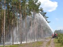 Kampania gaśnicza "Żary" na terenie leśnictwa Zabłocie