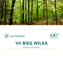 VII Bieg Wilka
