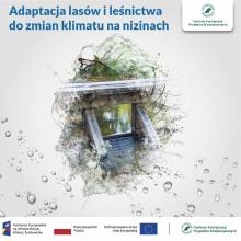 Projekt adaptacji do zmian klimatu na terenach nizinnych - kontynuacja